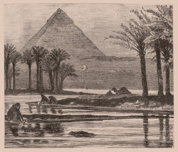 пирамиды гизы во время наводнения на ниле - egypt pyramid cairo camel stock illustrations