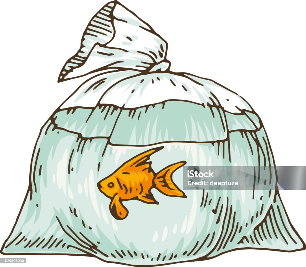 Goldfish In A Plastic Bag Stock Illustration - Download Image Now - Bag,  Goldfish, Aquarium - iStock