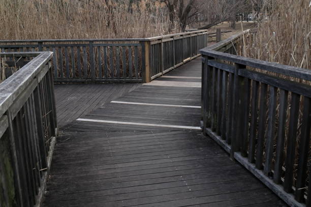 istock Bridge over the wetlands of winter 1129611817