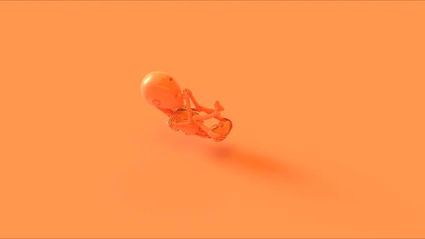 istock Orange Futuristic Artificial Intelligence Embryo Baby 1129613447