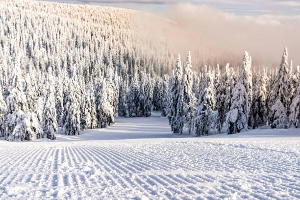 pista de esqui preparado com ninguém sobre isso - ski track - fotografias e filmes do acervo