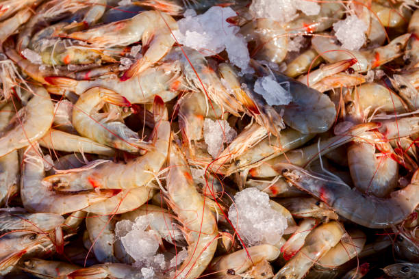 istock Fresh shrimp on Ice at outdoor fish flea market 1129619978