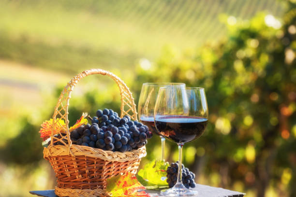 istock Red wine in the glass against sunny vineyard background 1129620316