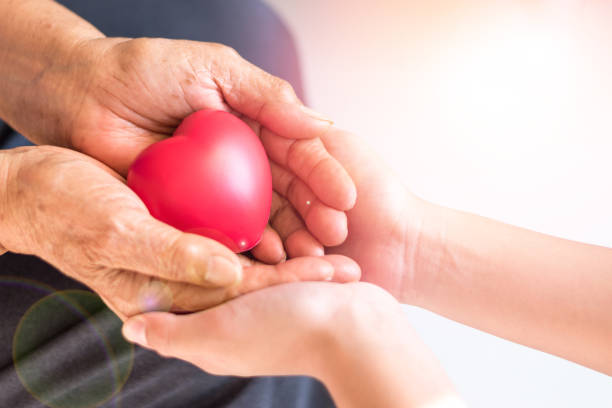 badante, mano badante che tiene la mano anziana donna in cura dell'ospizio. gentilezza filantropica al concetto di disabilità. settimana del riconoscimento del servizio pubblico - senior hands foto e immagini stock