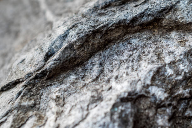 istock Full Frame texture of Decorative natural stone in the park 1129621670