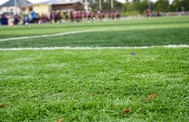 istock Soccer net and field on bright green artificial turf 1129628115