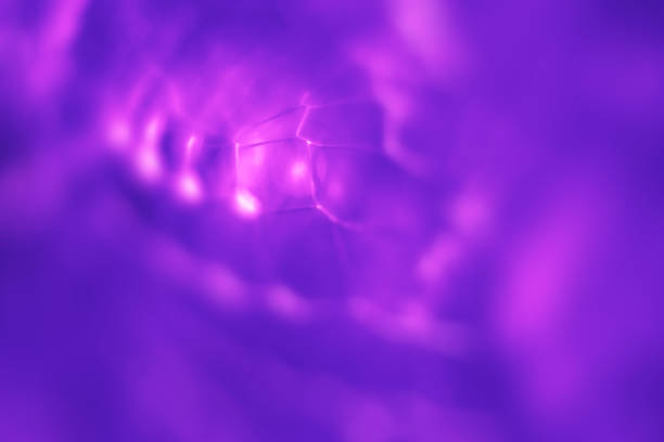 Abstract blurred background in trendy neon colors. Abstract lights. Neon light. Neon lights bokeh. Pink and blue background with neon trendy colors. Lines and light spots.