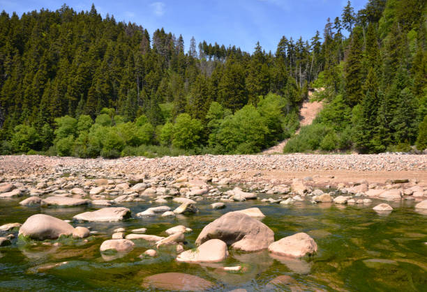 istock Vivid Green Algae Big Salmon River, New Brunswick Canada 1129632355