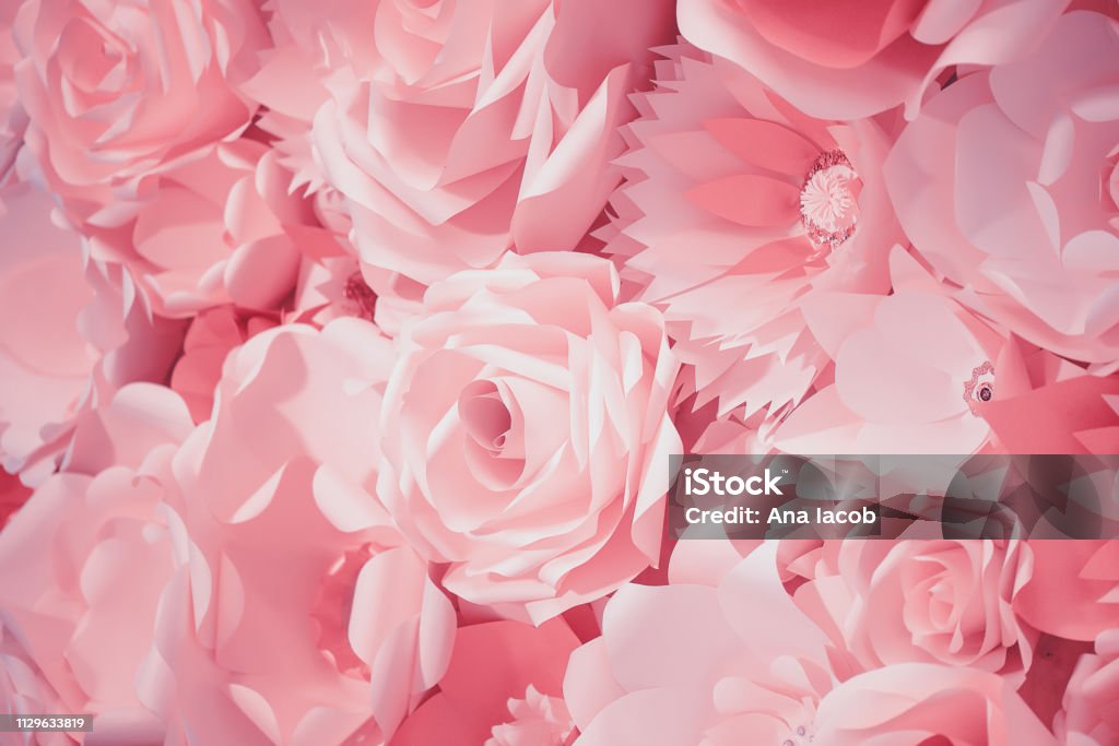 Color filter effect in pink of a 3D paper flower wall, decor idea or backdrop for weddings, baby shower, birthday or tea parties Color filter effect in pink of a 3D paper flower wall, decor idea or backdrop for weddings, baby shower, birthday or tea parties. Romantic three-dimensional monochrome decoration for background ideas. Rose - Flower Stock Photo