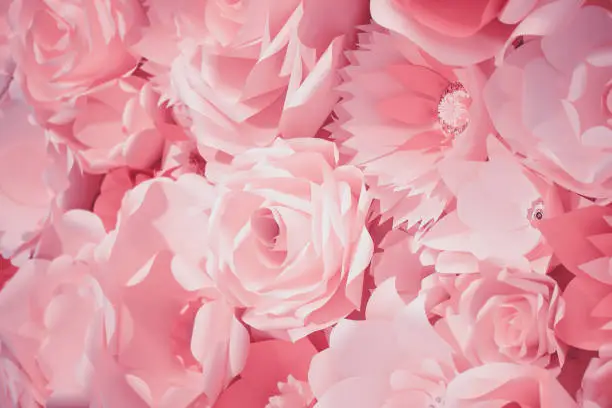 Color filter effect in pink of a 3D paper flower wall, decor idea or backdrop for weddings, baby shower, birthday or tea parties. Romantic three-dimensional monochrome decoration for background ideas.
