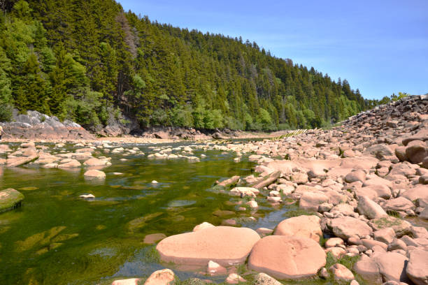 istock Vivid Green Algae Big Salmon River, New Brunswick Canada 1129634071
