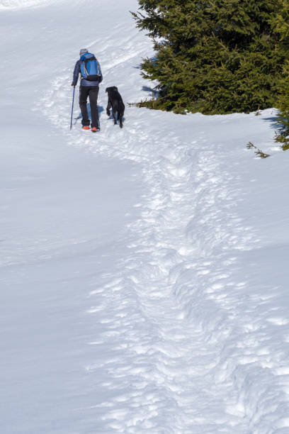 istock Male hiker walking with dog through deep snow on mountain 1129634387