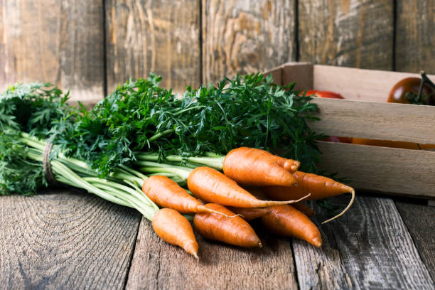 zanahorias frescas de cosecha propia orgánicas - whole carrots fotografías e imágenes de stock