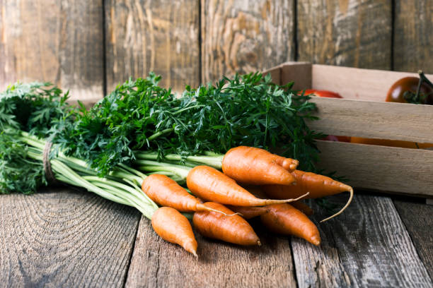 carote fresche biologiche coltivate in casa - whole carrots foto e immagini stock