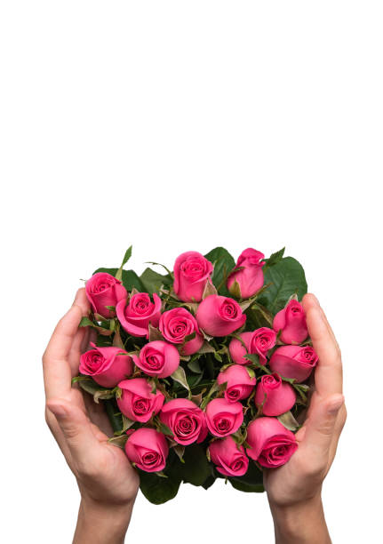 istock Bouquet of pink roses. 1129635641