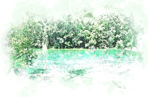 Abstract colorful river lake and tree in the forest on watercolor illiustration painting background.