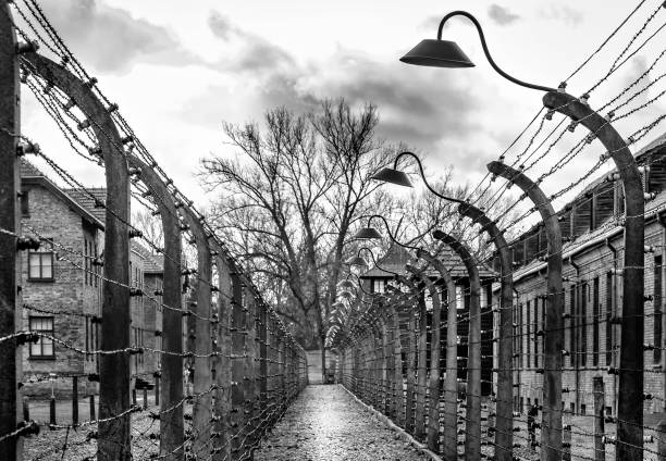 auschwitz camp - holocausto imagens e fotografias de stock