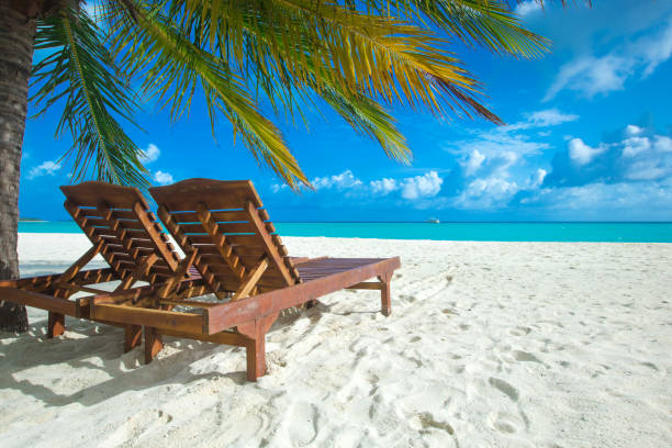 istock tropical Maldives island with white sandy beach and sea 1129641828