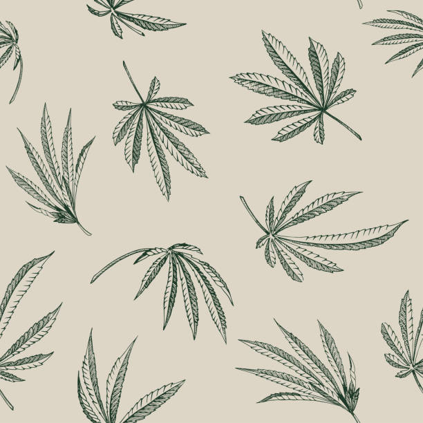 ilustrações, clipart, desenhos animados e ícones de padrão sem emenda de vetor contorno da planta do cânhamo em uma textura de canábis de fundo bege - marijuana plant