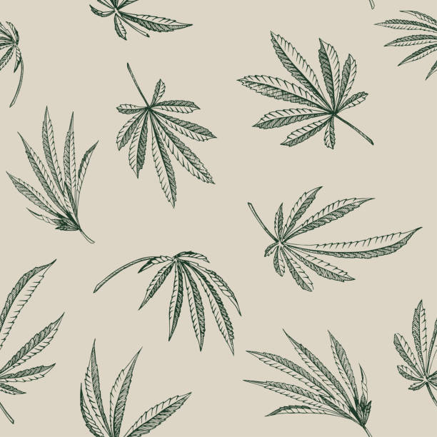 istock Vector outline Seamless pattern of hemp plant on a beige background cannabis texture 1129646684