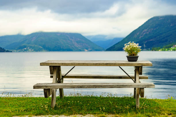 istock Rest stop area picnic site on fjord shore 1129650000