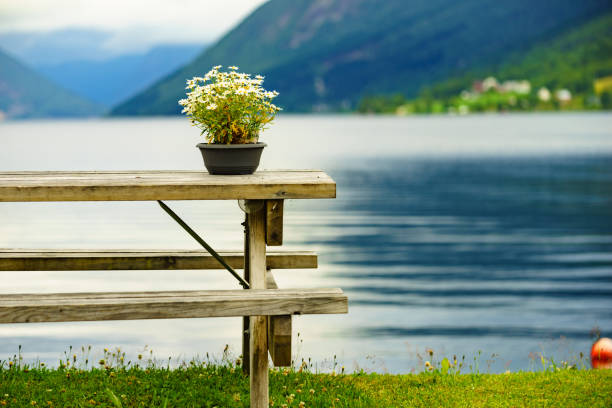 istock Rest stop area picnic site on fjord shore 1129650015