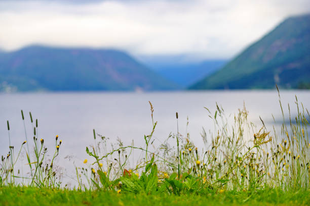 istock Fjord landscape in Norway 1129650046