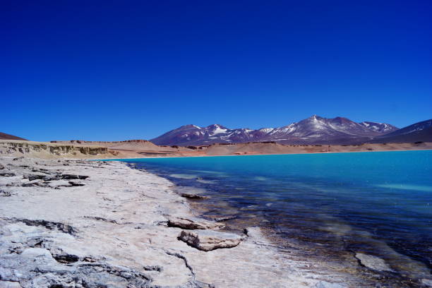 Laguna Verde - altiplanica no Paso San Francisco no Chile Altiplanic Lagoon no Paso San Francisco no Chile vulcão stock pictures, royalty-free photos & images