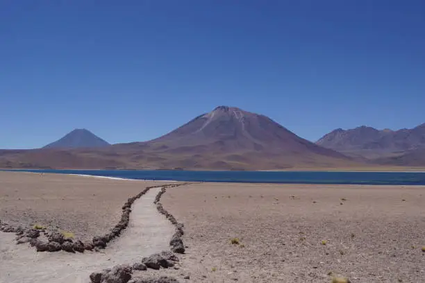 Access path to Laguna Miscanti in the Atacama Desert