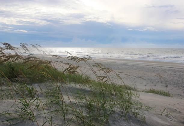 istock Cloudy morning on the Atlantic ocean beach. 1129653060