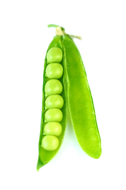 istock Fresh organic green peas 1129653293