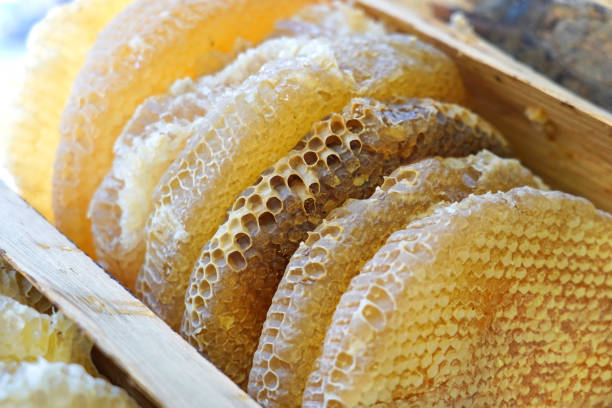 istock Natural comb honey, Turkish organic Karakovan Honey 1129655385