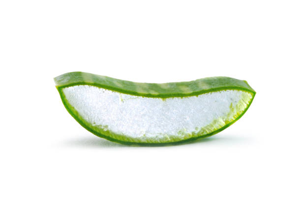 istock Aloe vera plant slice isolated on white background. 1129655621