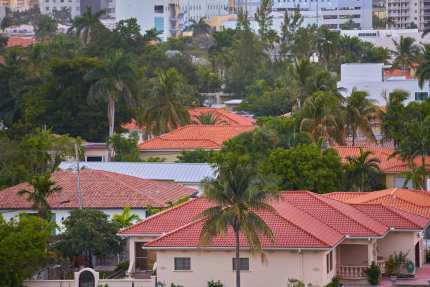 istock Luxury Florida homes with palm trees 1129657341