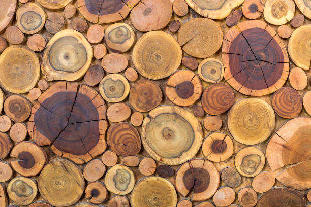 istock Round wooden unpainted solid natural ecological soft colored brown and yellow stumps background, Tree cut sections different sizes for pad mat background texture. Do It Yourself art concept. 1129666215