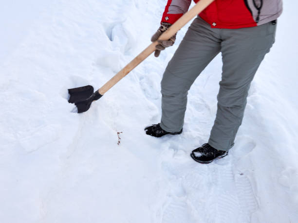 istock Snow shovel in female hands on a winter day 1129667750
