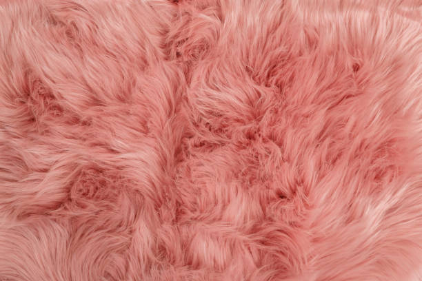 istock Pink textured fur background. Pink sheepskin background and texture. 1129667951