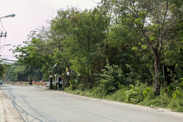 istock Open Road in Thailand 1129669674