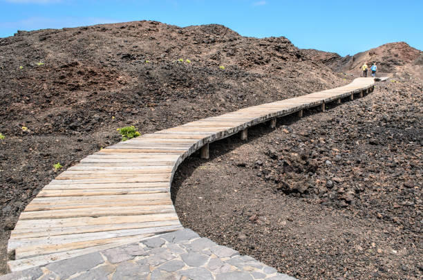 istock View of wooden walking path at Punta de Teno 1129673791