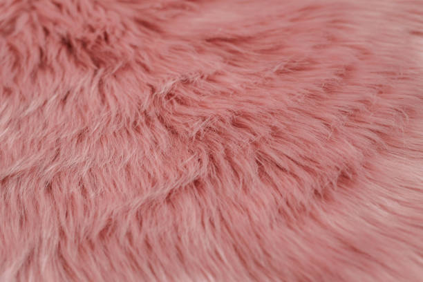 istock Pink fur background. Pink sheepskin background and texture. 1129675103