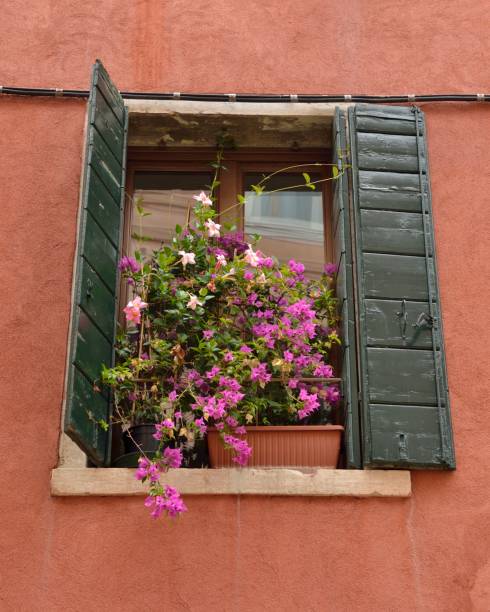 istock Flowers on window in Venice 1129677284
