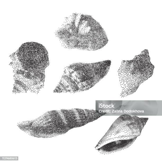 Pointalism Shell Set Of Seashells On White Background Seashells In Pointillism Style ...