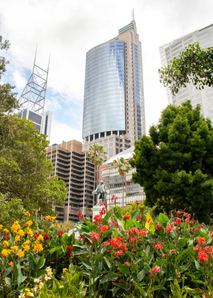 istock Canna Flowers with skyline in background 1129682433