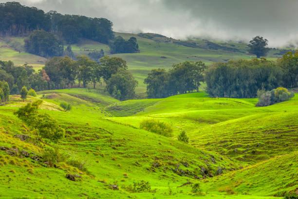 istock Island of Maui in Hawaii 1129684189