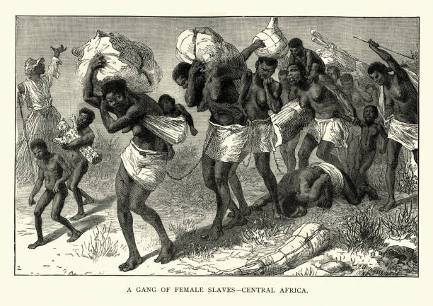 Gang of females slaves, Central Africa, 19th Century Vintage engraving of Gang of females slaves, Central Africa, 19th Century african slaves stock illustrations