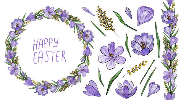 ilustraciones, imágenes clip art, dibujos animados e iconos de stock de conjunto de corona de azafranes violeta con amarillo mimosa y letras de la pascua - easter flower purple frame