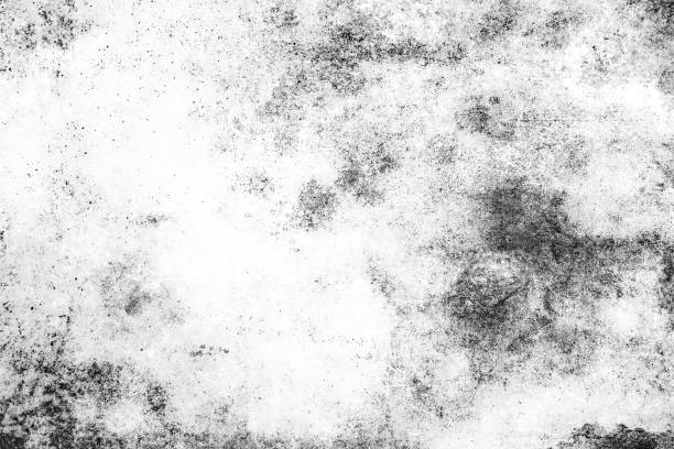 istock White and black grunge texture.White surface with black spots scratched lines. 1129686940
