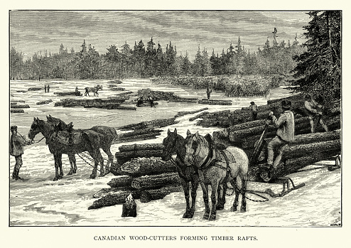 Vintage engraving of Canadian lumberjacks forming timber rafts, Canada, 19th Century