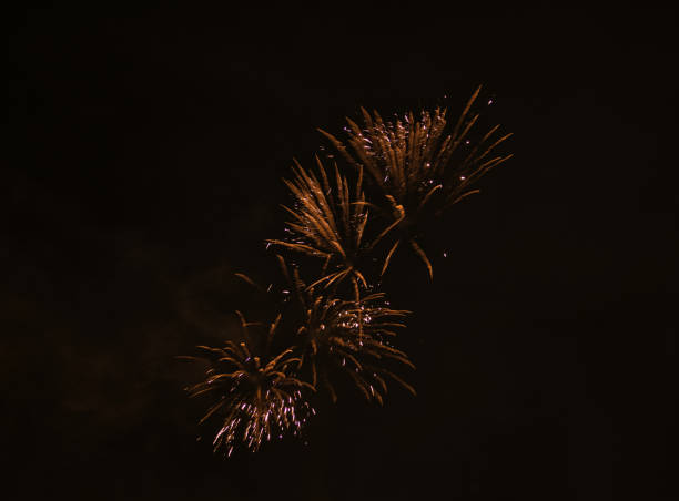 istock Rockets in the sky on New Year's Eve in Munich 1129687794