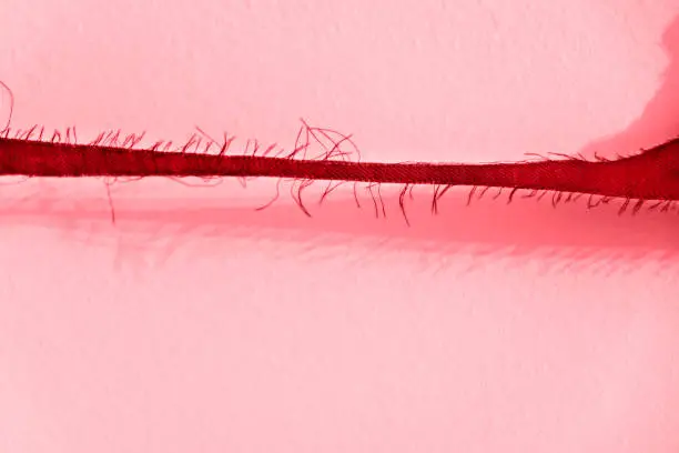 A strip of frayed cloth against a wall , beautiful shadow  of the cloth on the background with thin  and vertical  threads